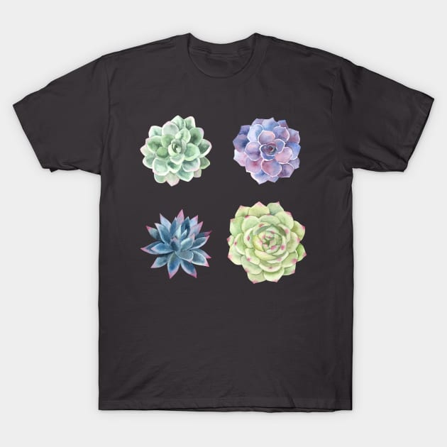 Four Succulents T-Shirt by CockyArt